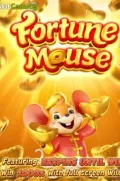 Fortune Mousse en KO888 COM